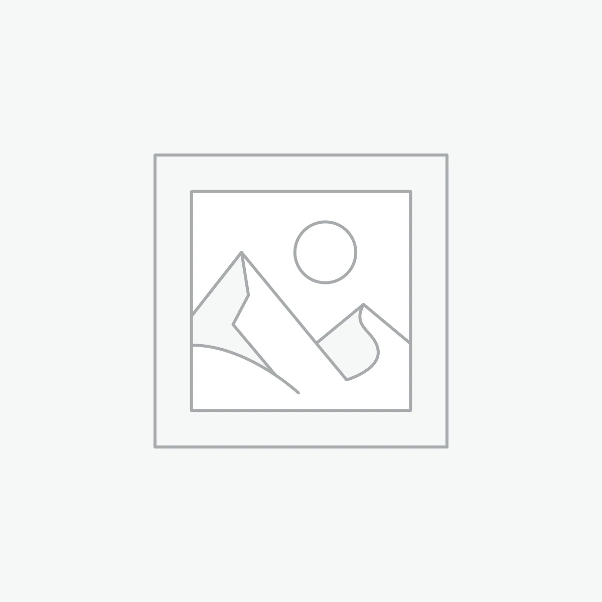 HP ProBook 455 G6